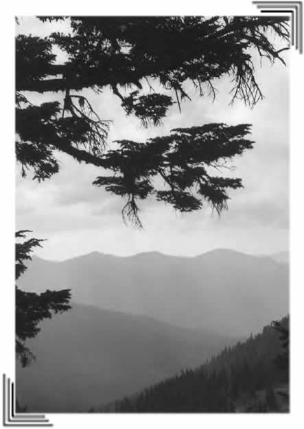 Seattle Camera Club from Kathy Muir
