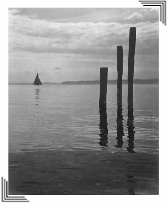 Seattle Camera Club from Kathy Muir